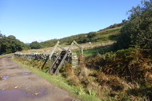 Photo 6x4 stile - photo,