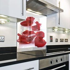 Splashback Paraschizzi