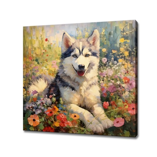 Quadro husky cane cucciolo - quadro,