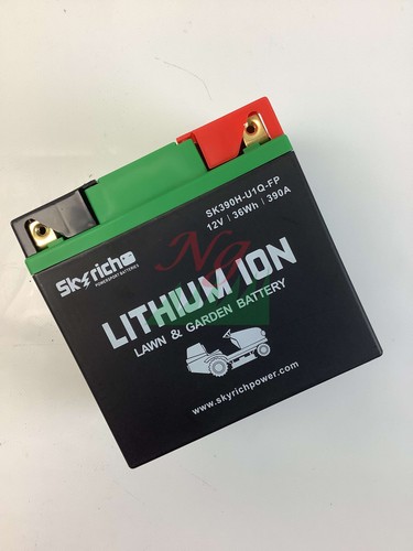 Batteria litio skyrich - al,