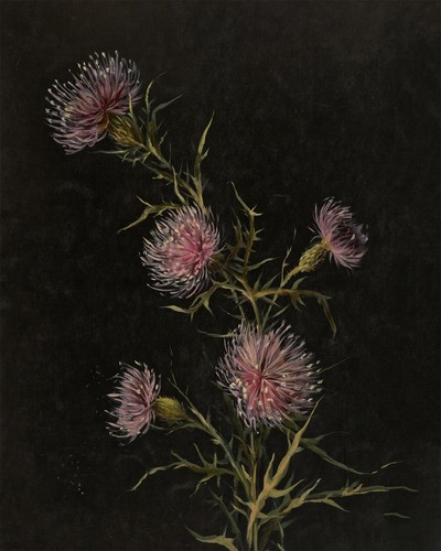 Stampa quadro antico