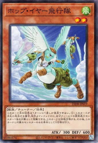 Ocg hop ear - ocg,