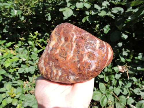 Diaspro intero pnw - diaspro,