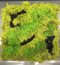 QUADRO ARMONIZZATORE MUSCHIO