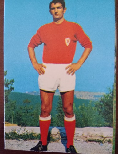 Figurina calciatori goal - figurina, reli