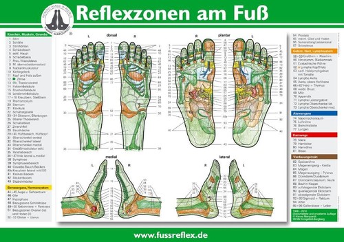 Reflexzonen der füße tafel - reflexzonen, (tafel