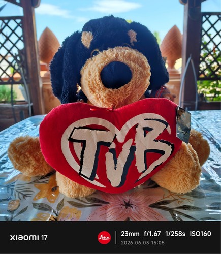 Peluche cane con - cuore, "tvb"
