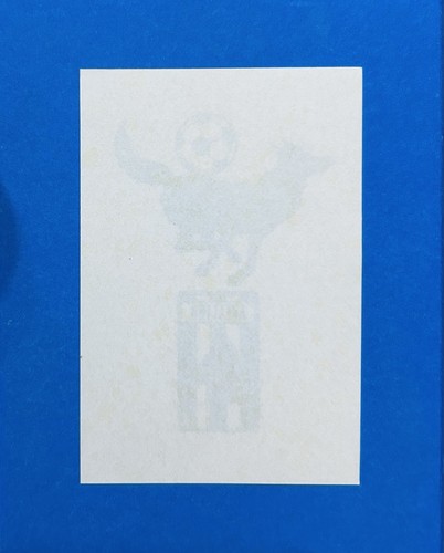 Figurina calciatori panini - figurina,