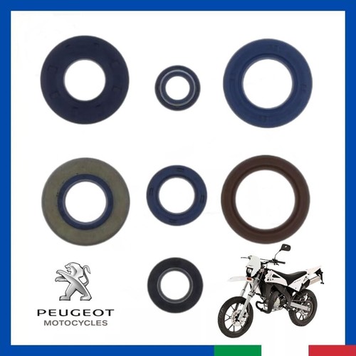 Kit paraolio revisione motore