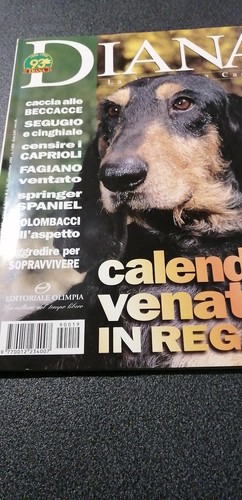 Caccia diana set9 beccaccia - caccia,