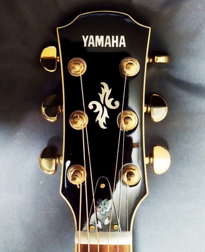 Yamaha apx 700 elettrico - 700, bl