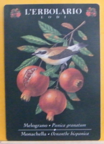 Calendarietto erbolario - calendarietto, l'