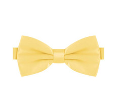 PAPILLON GIALLO FARFALLA SETA