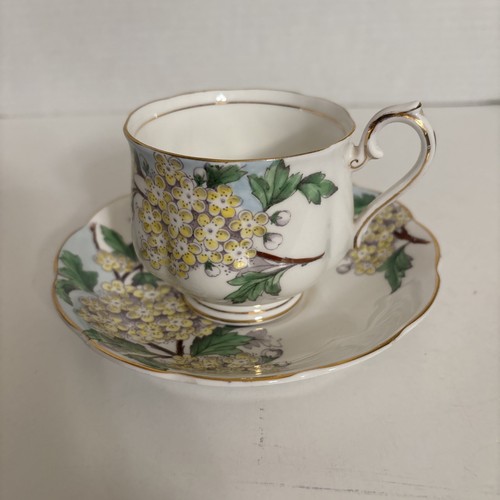Tazza piattino royal albert - piattino,