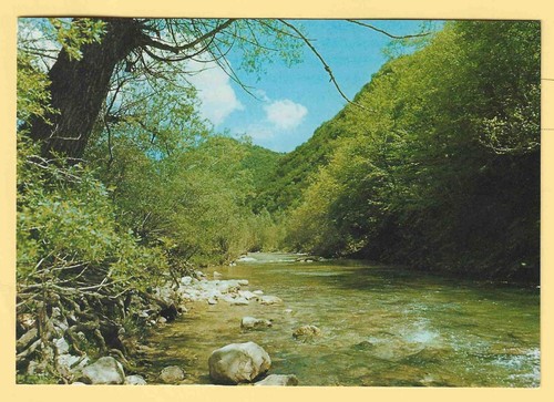 Cartolina italia parco - -,