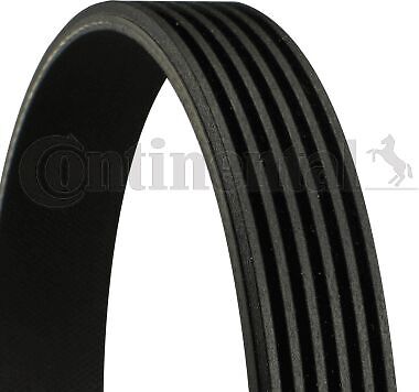 Contitech 6pk1310 cinghia - contitech,