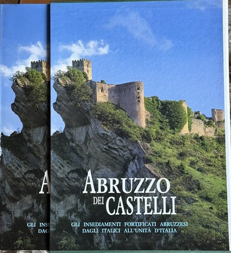 Libro illustrato sui castelli - illustrato,