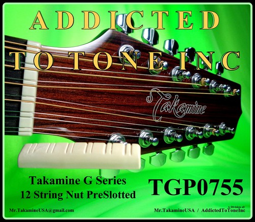 Takamine series chitarra - series,