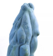 Cereus peruvianus “blue