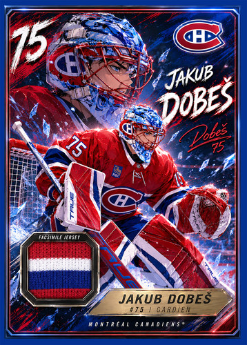 Jakub dobeš rookie facsimile - jakub,