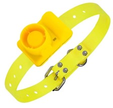 Collare beeper cane - collare,