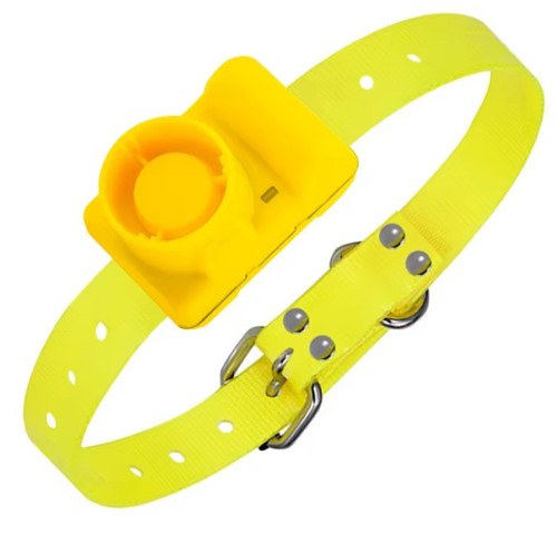 Collare beeper cane - beeper, da