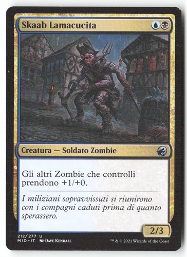 T334 skaab lamacucita - [t334],