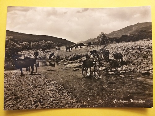 Cagliari oltre campo - oltre, omu.