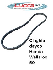 7179 Cinghia Trasmissione Dayco Honda Wallaroo 50
