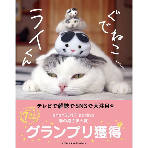 Gudeneko rai kun hardcover - rai-kun,
