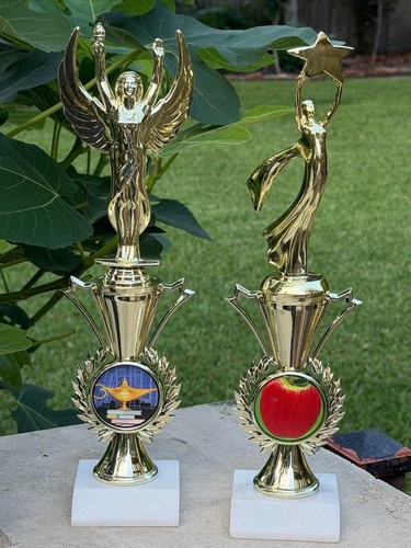 Insegnante dell anno trofeo - insegnante, dell'anno