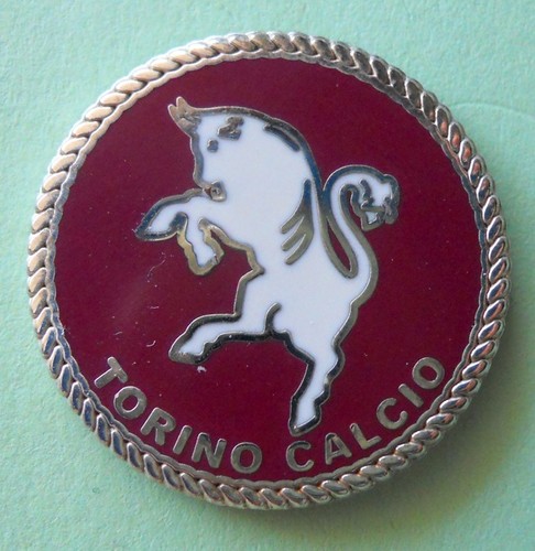 Distintivo spilla pin - distintivo,