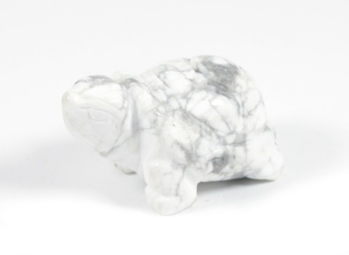 Tartaruga howlite - tartaruga,