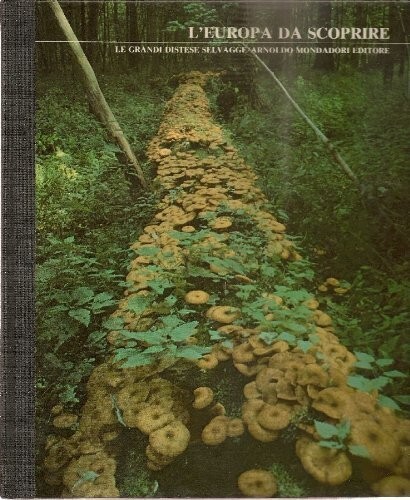 Mondadori grandi distese - mondadori,