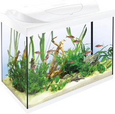 Acquario Starter Line 80 L