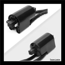 Bobine Allumage pour Suzuki