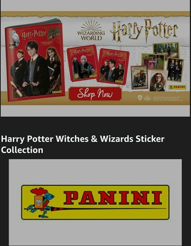 Harry potter wizarding world - harry,