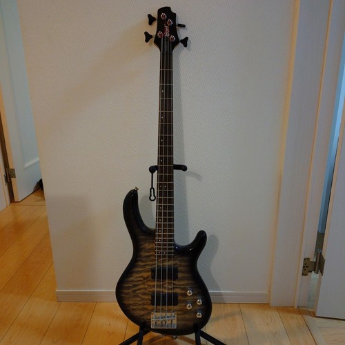 Basso elettrico cort - basso,