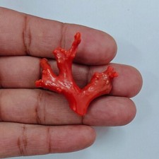 Ramo di corallo rosso italiano