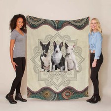 Divertente Bull Terrier Cane