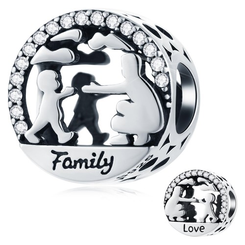 Charm traforato famiglia amore - charm,
