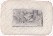 Disegno a matita Natura morta