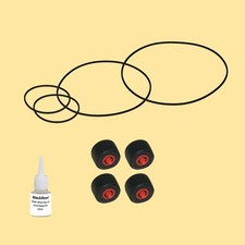 Cinghia rullo pressione olio =