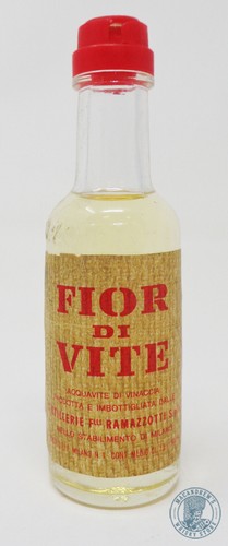 Miniature mignon acquavite - mignon,