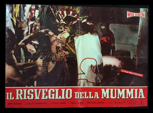 Cinema fotobusta risveglio - il,
