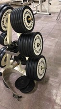 Dischi TECHNOGYM gommati foro 50mm Pavia3475208287