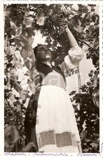 1940 STRADELLA (PV) Vendemmiatrice al lavoro *Fotografia