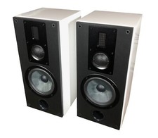 SWANS RM 600R Bianco Pianolack