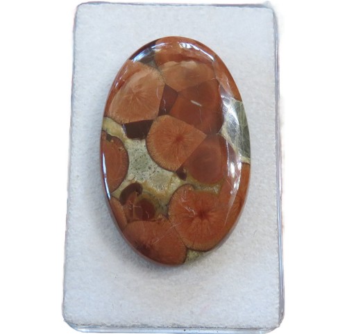 Cabochon ossidiana arachidi - di,