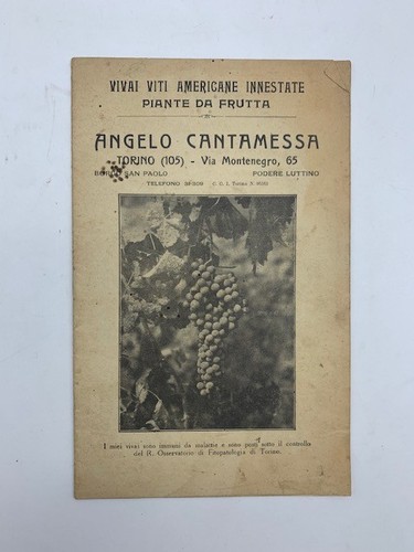 Angelo cantamessa torino - angelo, cantamessa,